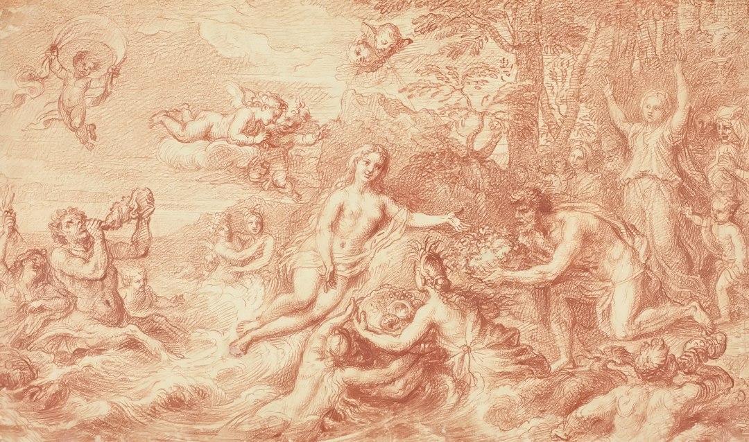 Photo life on Venus