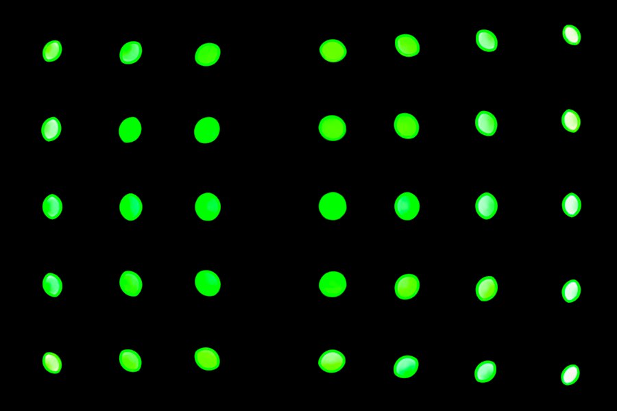 photon double measurement experiment