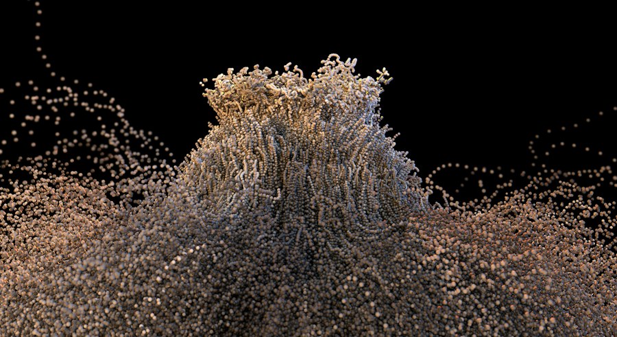 dense nuclear matter physics